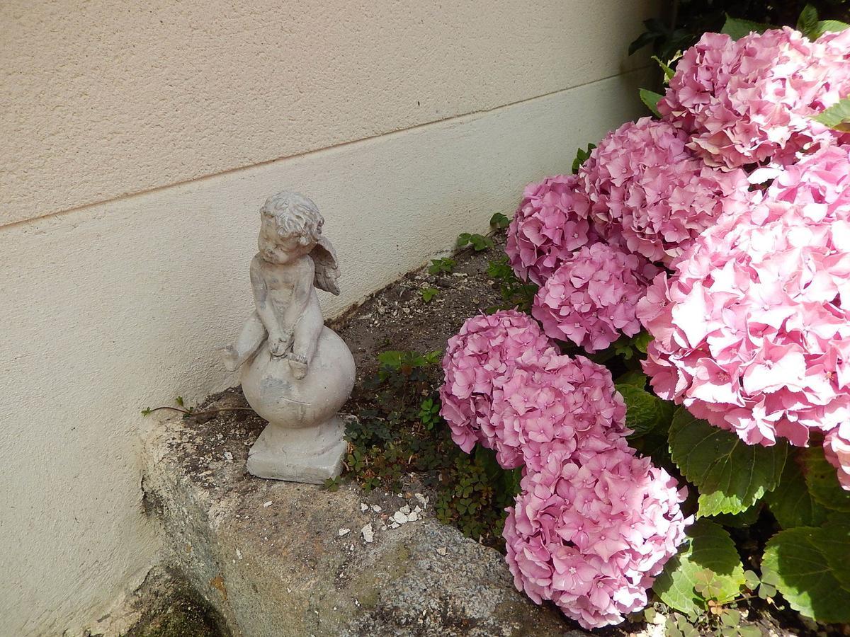 La Cordonnerie De Reau Bed & Breakfast ภายนอก รูปภาพ
